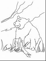 Bear Coloring Pages Paw Drawing Print Panda Brown Printable Kodiak Realistic Kids Patrol Line Color Getdrawings Draw Animals Paintingvalley Forest sketch template