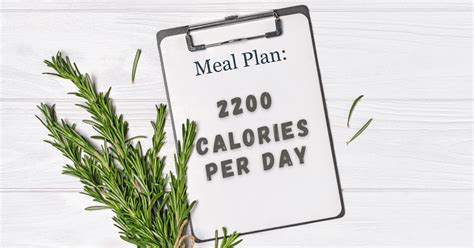 day  calorie meal plan diets meal plan