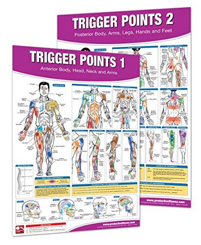 trigger point therapy chart poster set accupressure charts