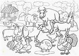 Zoo Coloring Pages Animal Preschool Activities Divyajanani sketch template