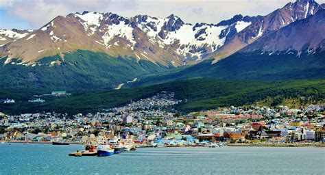 patagonia argentina albatroz turismo