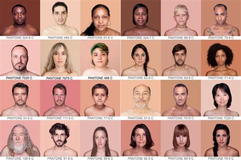 pantone chart   human skin color human skin color skin