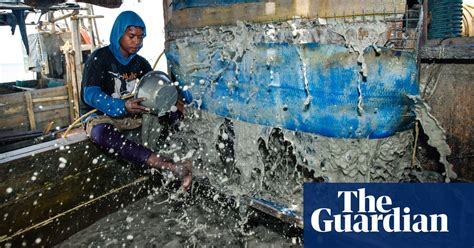 Tin Mining On Bangka Island Of Indonesia In Pictures Environment