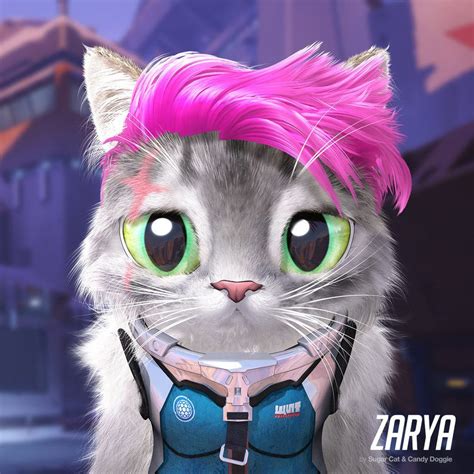 Artist Turns Overwatch Characters Into The Cutest Cats You