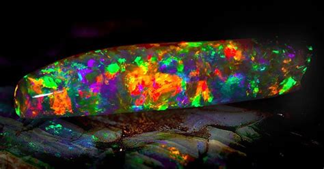 dit  de mooiste opaal op aarde en   hem eindelijk gaan bekijken wetenschap planeet hln