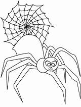 Coloring Pages Spiders Spider Popular sketch template