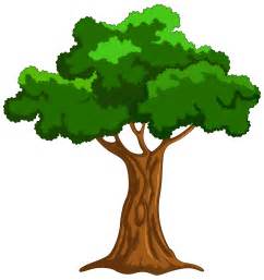 tree clipart  clipart images  clipartingcom