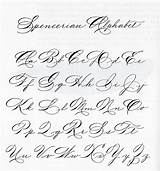 Spencerian Pointed Introduce sketch template