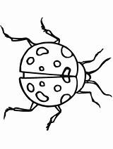 Insects Coloring Pages Primarygames Color Bug Insect Gif Science sketch template
