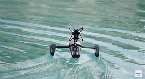 parrot takes   water    hydrofoil drone