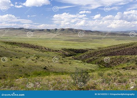 mongools landschap met paarden stock afbeelding image  berg bewolkt
