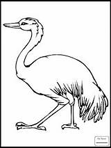 Emu sketch template