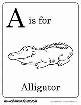 Alligator Letter Coloring Alphabet Timvandevall Printable Template Worksheets Starts Pages Kids Preschool Letters Printables Tracing Book Else But Handwriting sketch template