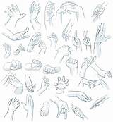 Hands Drawing Hand Reference Pose References Sketches Body Tags Parts People sketch template