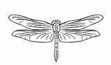 Dragonfly Coloring Pages Site sketch template