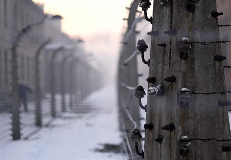 belg die holocaust ontkende moet auschwitz bezoeken