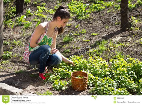 girl is engaged in grass weeding stock image image of dark outdoors