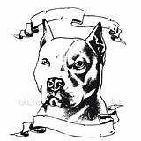 Pitbull Head Bull Minimalista Bulldog sketch template