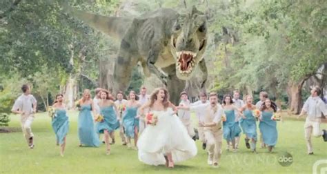 dinosaur wedding photo  story   viral shot video huffpost