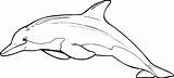 Dolphin Clipart Coloring Pages Drawing Clip Dolphins Printable Color Line Outline Bottlenose Cliparts Kids Print Draw Colored Drawings Sheets Cut sketch template