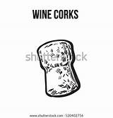Cork Wine Background Bottle Plug Vector Champagne Isolated Sketch Traditional Illustration Style Shutterstock Drawn Tree Hand Made sketch template