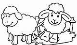 Coloring Sheep Farming Kids Pages Seven Children Cartoon Cute Animals sketch template