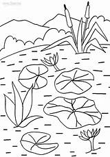 Lily Coloring Pad Pages Water Printable Lilies Kids Cool2bkids Flower Color Pads Floating Getcolorings Print sketch template