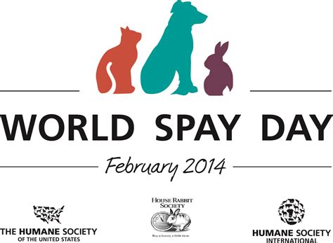 national spay and neuter month no more sex and the kitty