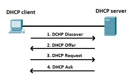 dhcp dns protocols explained study ccna