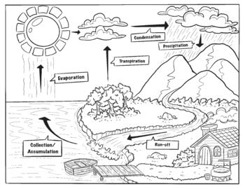 water cycle coloring page  notes  science   dime tpt