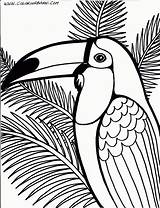 Coloring Toucan Pages Bird Adult Colouring Gif Dover Kids Color sketch template
