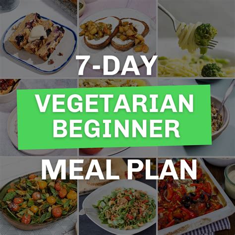 day vegetarian meal plan  beginners    karinokada