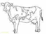 Cow Coloring Dairy Pages Getdrawings sketch template
