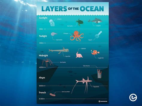 layers   ocean poster teaching resource teach starter layers   ocean ocean zones