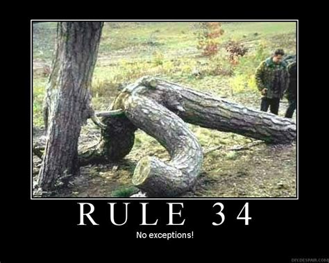 Rule 34 Really Funny Pictures Collection On
