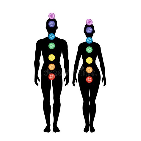 Seven Chakra System In Human Body Infographic With Male And Female