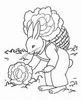 Coloring Pages Bunny Easter Garden Gardening Printable Rabbit Farmer Activity Kids Sheets Holiday Bunnies Honkingdonkey Hard Book Print Comments sketch template