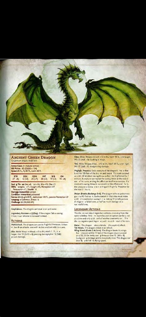 pin  katie  dd dnd dragons dungeons  dragons homebrew green dragon