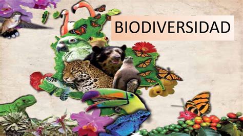 calameo diapositiva biodiversidad