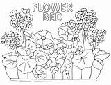 Flower Bed Coloring Pages Flowerbed sketch template