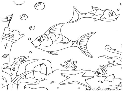 ocean floor coloring pages fresh coloring pages