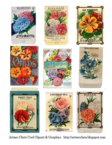 seedpackets copy vintage seed packets vintage cards clip art