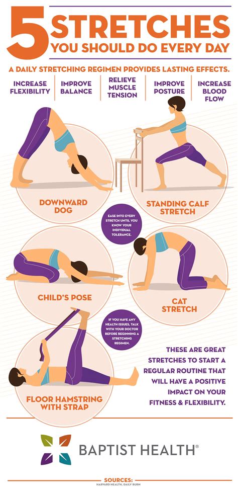everyday stretches infographic  stretching exercises daily exercise routines daily