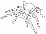 Template Spider Coloring Tarantula Pages Templates Colouring Crafty Shape Ws Crafts sketch template