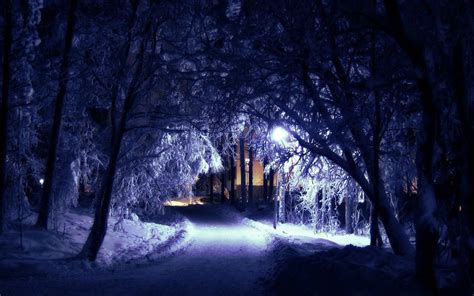 winter night wallpaper  pictures