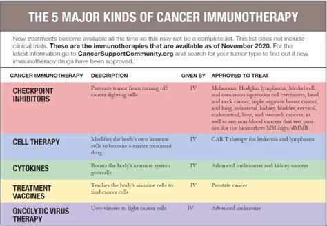 Immunotherapy For Cancer Is It Right For You Cancer Support Community