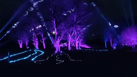 morton arboretum light show youtube