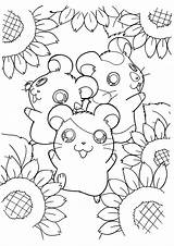 Hamster Coloring Pages Hamtaro Hamsters Sunflower Cute Kawaii Kids Printable Color Picgifs Print Series Colouring Anime Cartoon Bestcoloringpagesforkids Surrounded Books sketch template