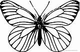 Schmetterling Ausmalbilder Ausmalbild Insekten Schmetterlinge Kaefer Malvorlage Ausdrucken Din sketch template