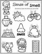 Worksheet Senses Preschool Smell Sense Worksheets Five Smelling Planningplaytime Kindergarten Coloring Playtime Planning Activities Pages Information Choose Board sketch template